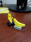 Banana Man inspects an origami banana